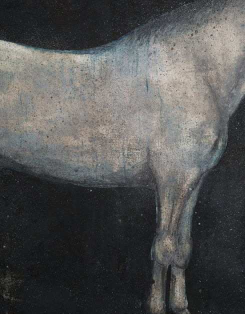 Horse | Framed Giclee Print on Canvas